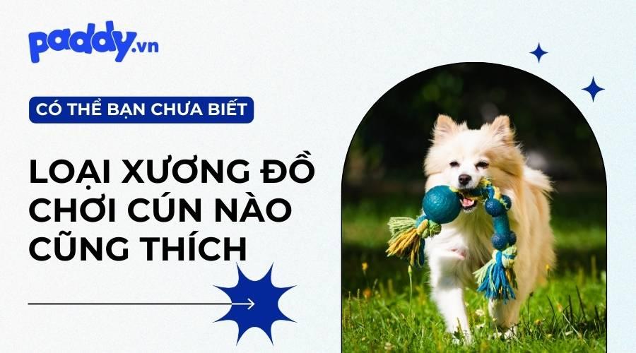 Top 6 Đồ Chơi Xương Gặm Chó Nào Cũng Thích - Paddy Pet Shop