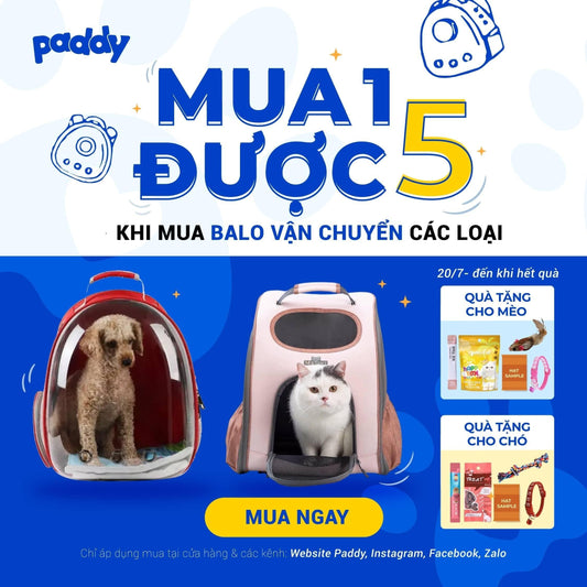CHƯƠNG TRÌNH MUA 1 ĐƯỢC 5 CHO TẤT CẢ BALO - Paddy Pet Shop