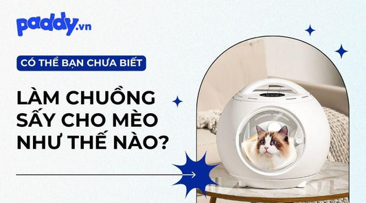Cách làm chuồng sấy cho mèo hiệu quả - Paddy Pet Shop