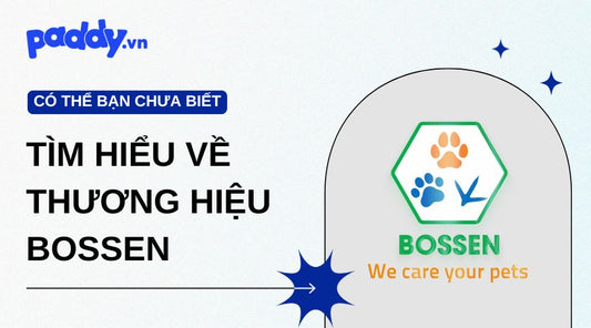 Tìm Hiểu Về Thương Hiệu Bossen