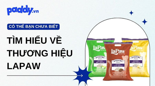 Tìm Hiểu Về Các Sản Phẩm Thương Hiệu Lapaw