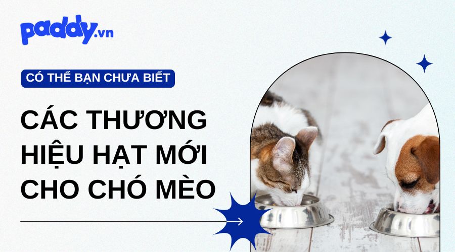 Tổng Hợp Các Thương Hiệu Hạt Mới 2024 Cho Chó Mèo