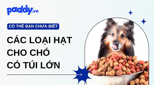 Các Loại Hạt Có Túi Khối Lượng Lớn Cho Chủ Nuôi Nhiều Chó