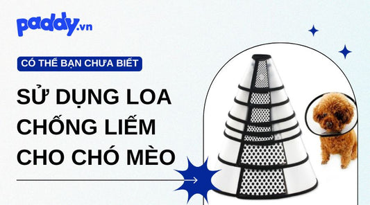 Lưu Ý Khi Sử Dụng Loa Chống Liếm Cho Chó Mèo