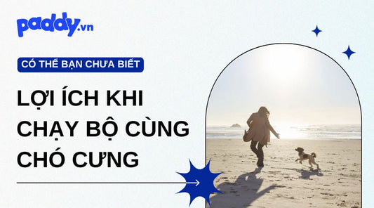 Lợi Ích Bất Ngờ Khi Chạy Bộ Cùng Chó Cưng