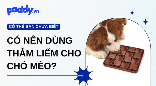 Có Nên Dùng Thảm Liếm Cho Chó Mèo?