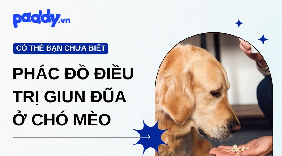Phác Đồ Điều Trị Bệnh Giun Đũa Ở Chó Mèo