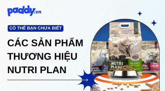 Tìm hiểu về các sản phẩm thương hiệu Nutri Plan – Hạt dinh dưỡng cho thú cưng
