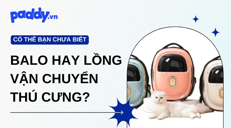 Nên Chọn Balo Hay Lồng Vận Chuyển Khi Đưa Thú Cưng Đi Chơi Xa?