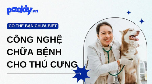 Tìm Hiểu Về Công Nghệ Chữa Bệnh Tiên Tiến Cho Thú Cưng