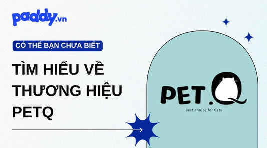 Tìm Hiểu Về Thương Hiệu PetQ