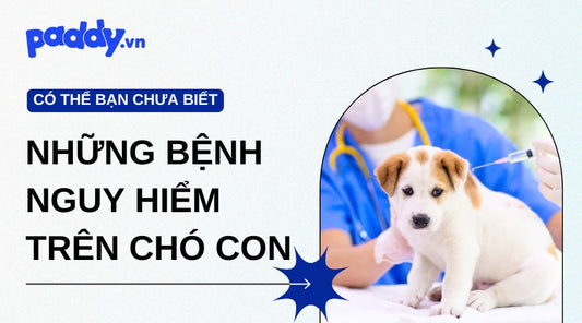 Những Bệnh Nguy Hiểm Trên Chó Con