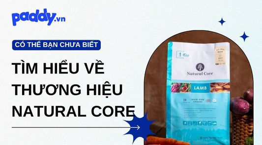 Tìm Hiểu Về Các Sản Phẩm Thương Hiệu Natural Core