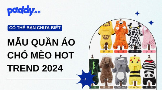 Tổng Hợp Mẫu Quần Áo Chó Mèo Hot Trend 2024