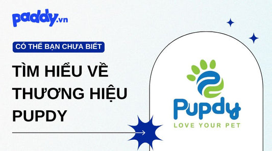 Tìm Hiểu Về Thương Hiệu Pupdy