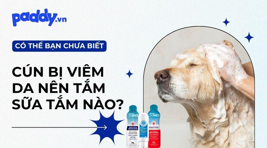 Top 10 sữa tắm viêm da cho chó mèo tốt nhất hiện nay - Paddy Pet Shop
