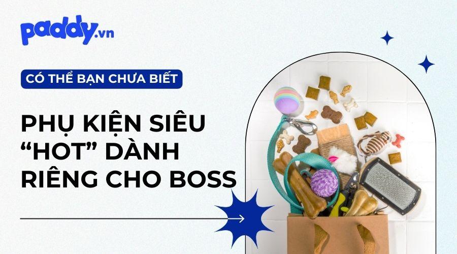 Các Loại Phụ Kiện Chó Mèo Mà Boss Cưng Không Thể Thiếu - Paddy Pet Shop