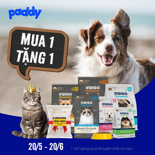 Khuyến Mãi MUA 1 TẶNG 1 - Thức Ăn Chó Mèo Indigo & Natural Signature - Paddy Pet Shop
