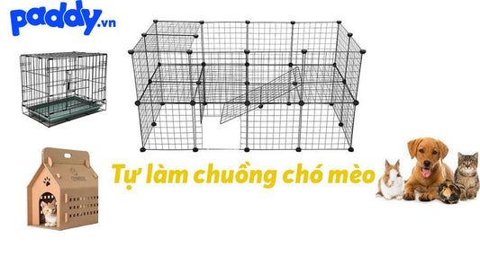 Hướng dẫn tự làm chuồng chó mèo tại nhà - Paddy Pet Shop