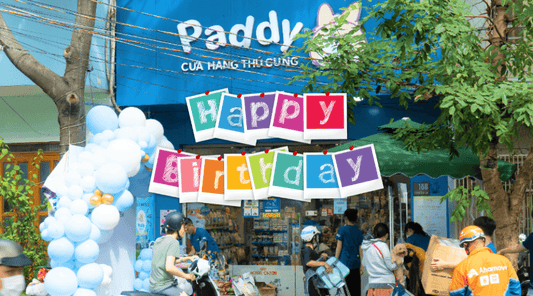 Tổng Kết Chuỗi Sự Kiện Mừng Sinh Nhật Paddy Lần 2 - Paddy Pet Shop