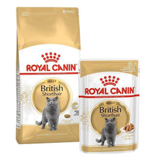 Thức Ăn Hạt Cho Mèo Lớn Anh Lông Ngắn Royal Canin British Shorthair - Paddy Pet Shop