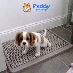 Khay Vệ Sinh Cho Chó - Size Nhỏ 52x42cm - Paddy Pet Shop
