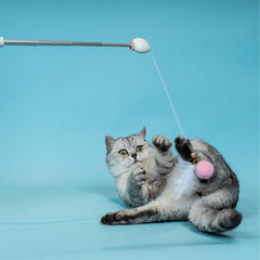 Cần Câu Mèo Lông Vũ Kèm Đèn Laser PetQ - Paddy Pet Shop
