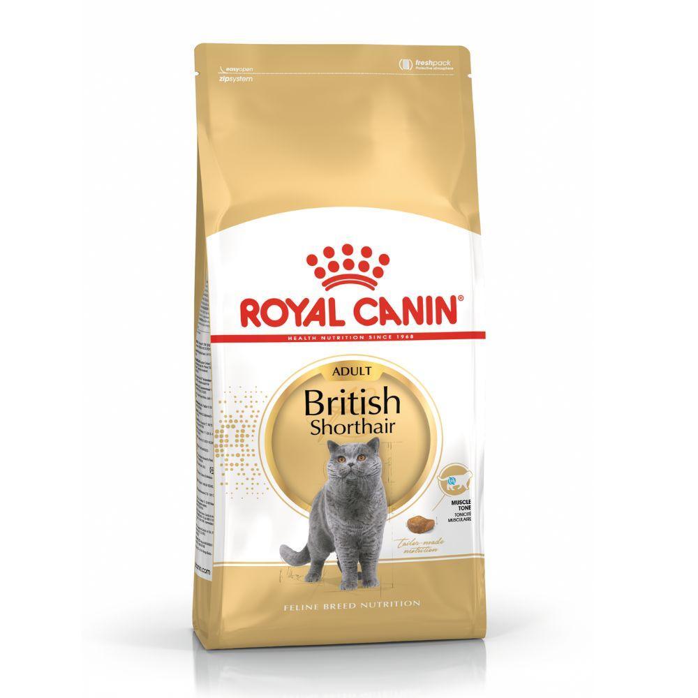 Thức Ăn Hạt Cho Mèo Lớn Anh Lông Ngắn Royal Canin British Shorthair - Paddy Pet Shop