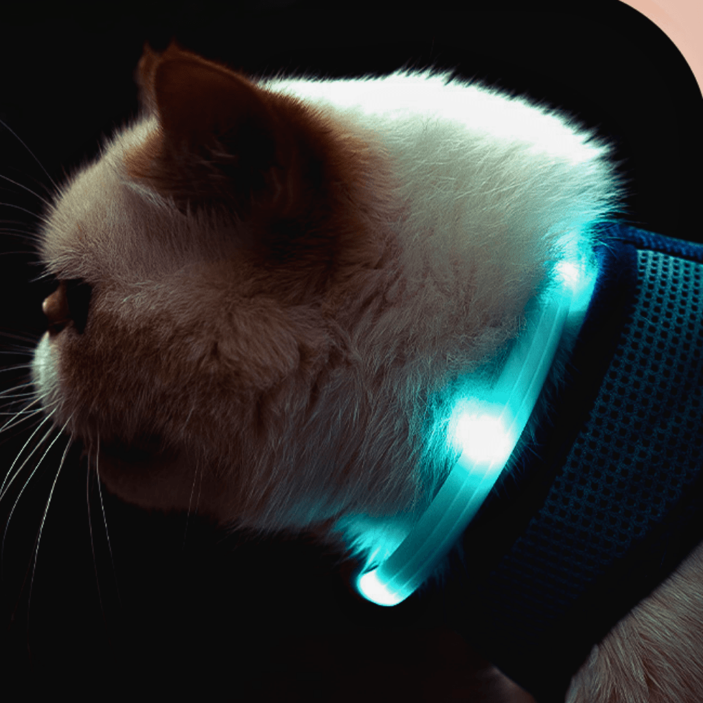 Vòng Cổ Chó Mèo Đèn LED Laroo Sạc USB - F33 45cm - Paddy Pet Shop