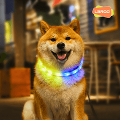 Vòng Cổ Cho Chó Đèn LED Laroo Sạc USB - Aurora 65cm - Paddy Pet Shop