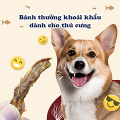 Bánh Thưởng Cho Chó Doggyman Vị Cá Sấy 50g