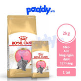 Thức Ăn Hạt Cho Mèo Con Anh Lông Ngắn Royal Canin British Shorthair Kitten - Paddy Pet Shop