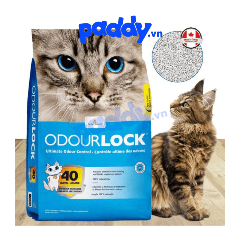 Cát Đất Sét Mèo Cao Cấp Odourlock (Canada) - Paddy Pet Shop