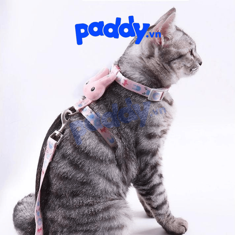 Dây Dắt Chó Mèo Hình Thú Bông 1cm x 120cm - Paddy Pet Shop