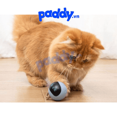 Đồ Chơi Cho Mèo Cảm Biến FOFOS Hình Banh Magic WhirliCat - Paddy Pet Shop