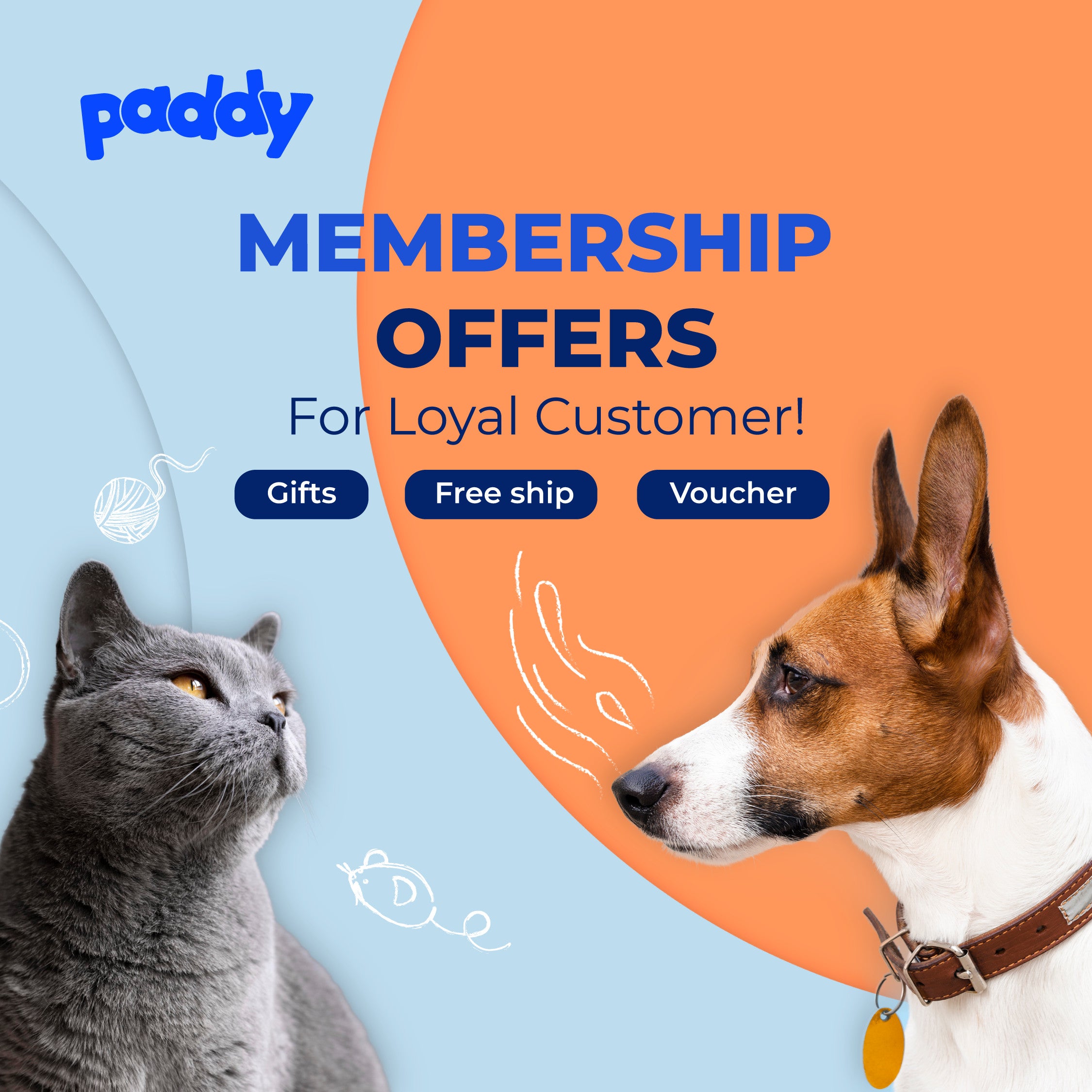 Paddy Pet Shop