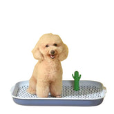 Khay Vệ Sinh Cho Chó Pakeway Xương Rồng