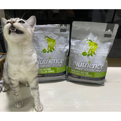 Hạt Nutrience Infusion Kitten Mèo Con