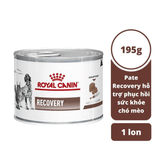 Pate Cho Chó Mèo Phục Hồi Sức Khỏe Royal Canin Recovery Lon 195g - Paddy Pet Shop