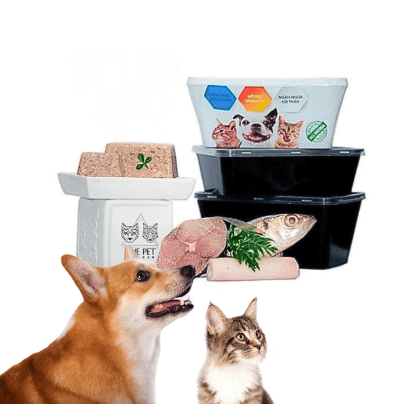 Pate Tươi Cho Chó Mèo The Pet Hộp 500g - Paddy Pet Shop