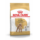 Thức Ăn Hạt Cho Chó Poodle Trưởng Thành Royal Canin Poodle Adult - Paddy Pet Shop