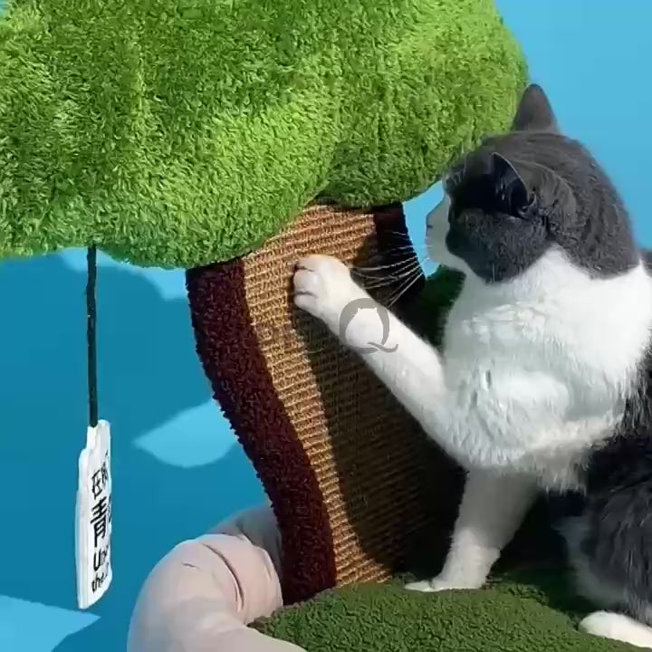 Nệm Cho Mèo Có Bàn Cào Móng Hình Bonsai ZEZE