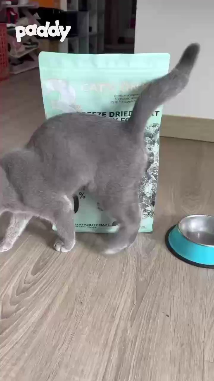 Hạt Cho Mèo Cat's On Mix R Có Topping