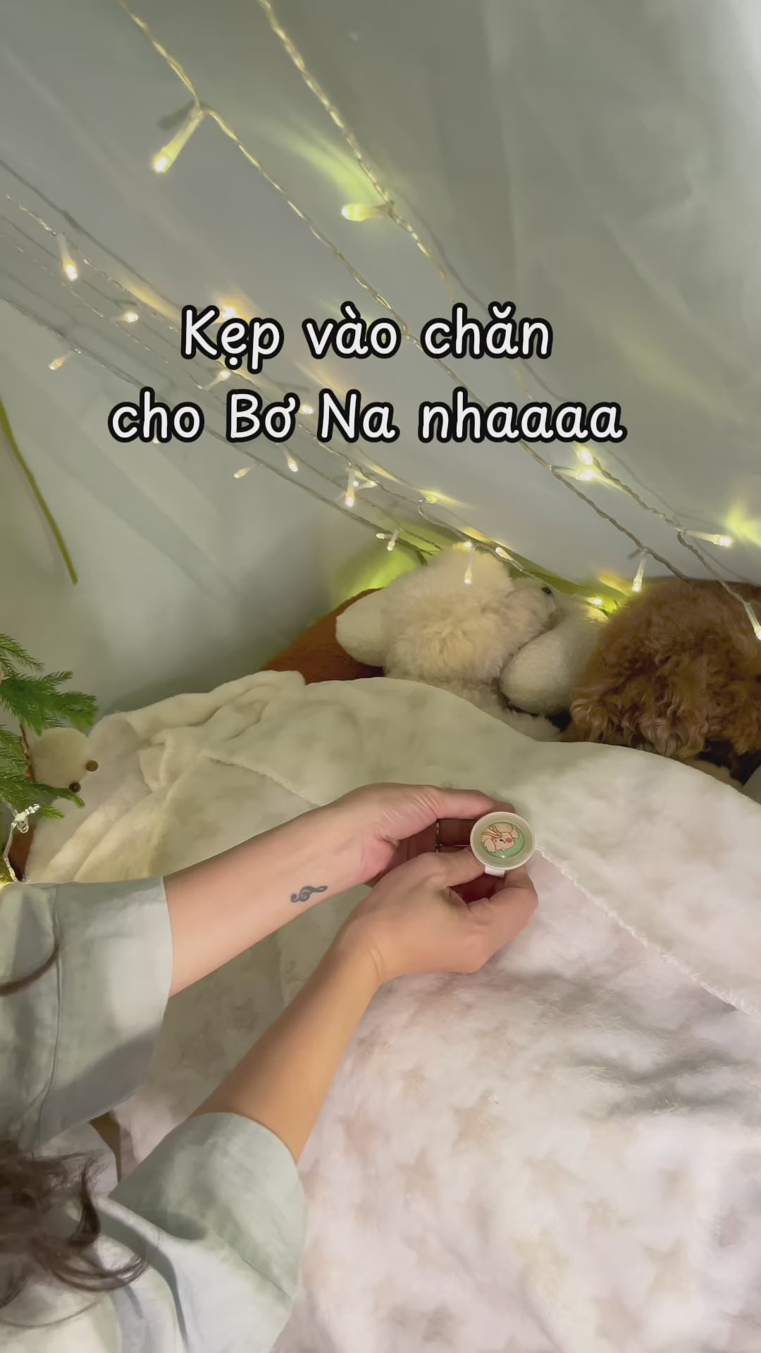 Kẹp Dạ Quang Ngừa Ve Rận Cho Chó Mèo Jungle Monster Walking Mate Neon Clip