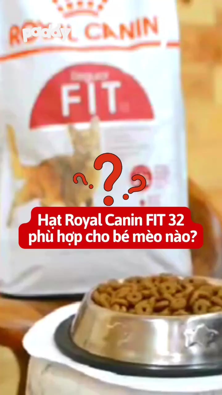 Thức Ăn Hạt Cho Mèo Trưởng Thành Royal Canin Fit 32