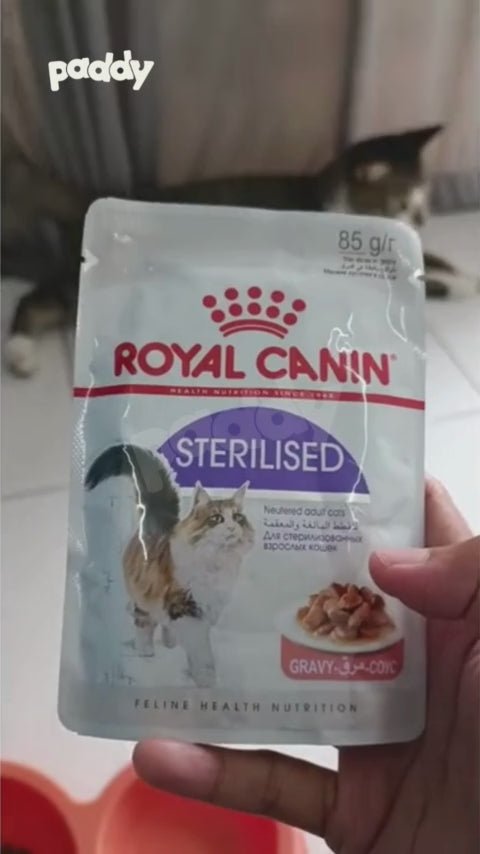 Pate Cho Mèo Triệt Sản Trưởng Thành Royal Canin Sterilised Adult 85g