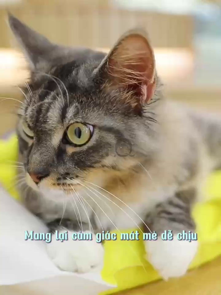 Thảm Cho Chó Mèo Hạ Nhiệt Làm Mát Fofos
