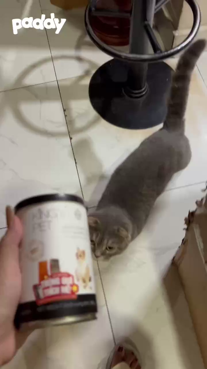 Pate Cho Chó Mèo Mọi Lứa Tuổi Thịt Tươi Kings Pet (Lon 380g)