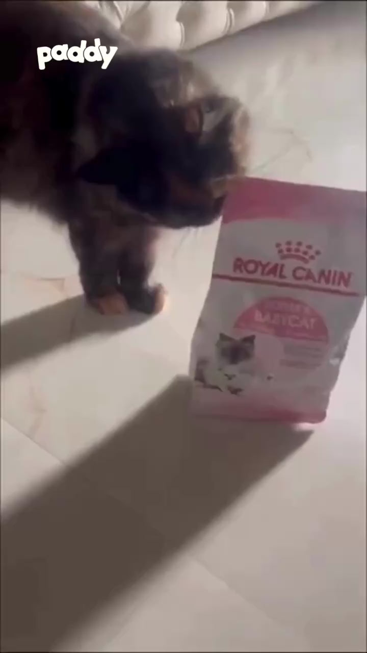Thức Ăn Hạt Cho Mèo Mẹ & Mèo Con Royal Canin Mother & Babycat