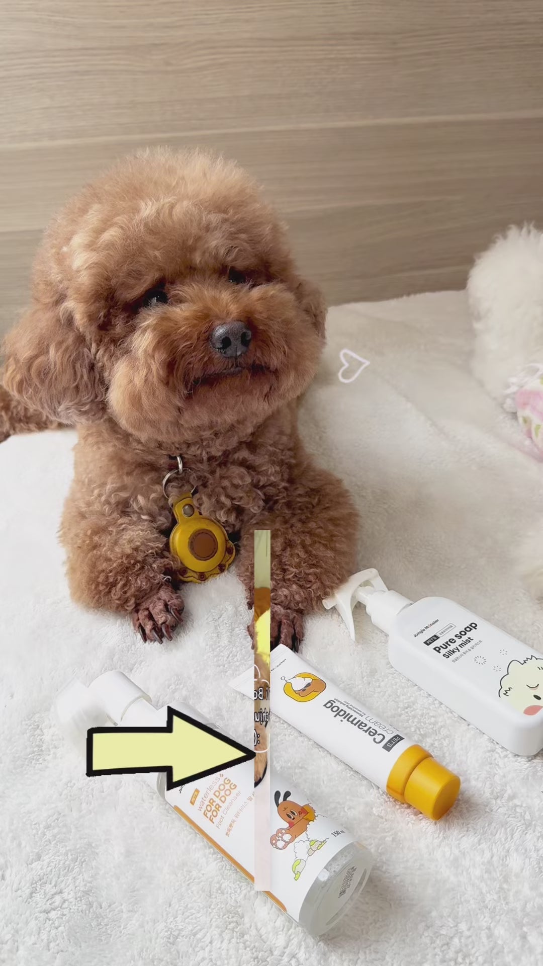 Bọt Vệ Sinh Chân Cho Chó Mèo Jungle Monster Foot Cleanser 150ml